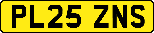 PL25ZNS