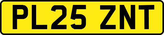 PL25ZNT