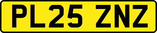 PL25ZNZ