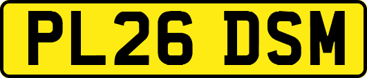 PL26DSM