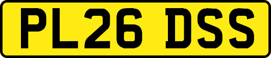 PL26DSS