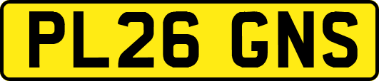PL26GNS