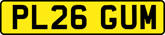 PL26GUM
