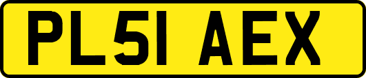 PL51AEX