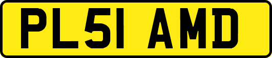 PL51AMD