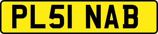 PL51NAB