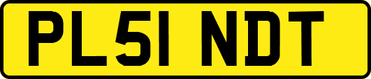 PL51NDT