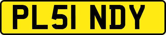 PL51NDY