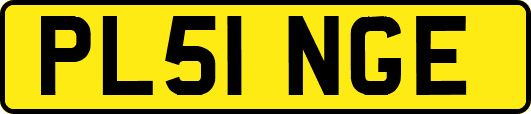 PL51NGE