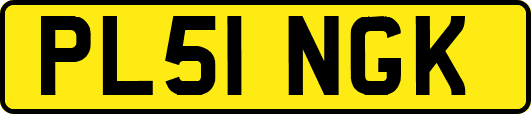 PL51NGK