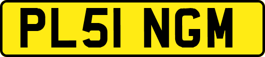 PL51NGM