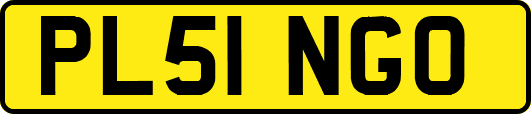 PL51NGO