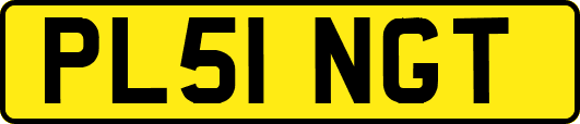 PL51NGT