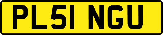 PL51NGU
