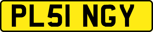 PL51NGY