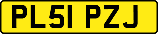 PL51PZJ