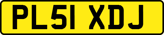PL51XDJ