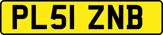 PL51ZNB