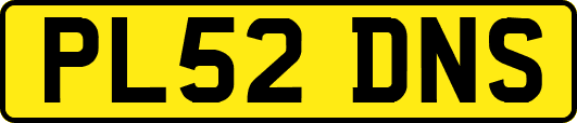 PL52DNS