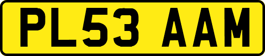 PL53AAM