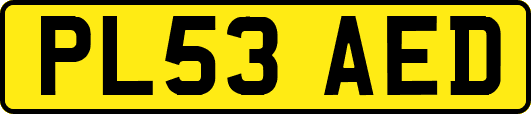 PL53AED
