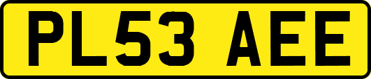 PL53AEE