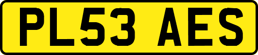 PL53AES
