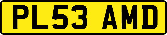 PL53AMD