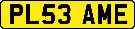 PL53AME