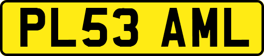 PL53AML