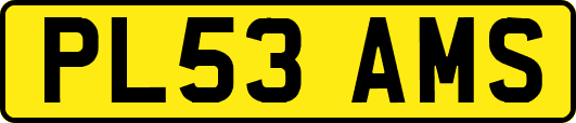 PL53AMS