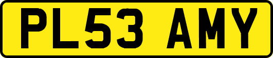PL53AMY