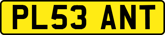PL53ANT