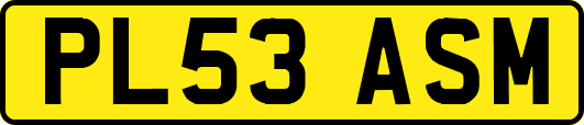 PL53ASM