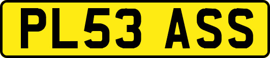 PL53ASS