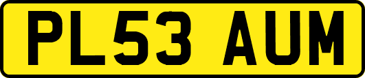 PL53AUM