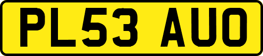 PL53AUO
