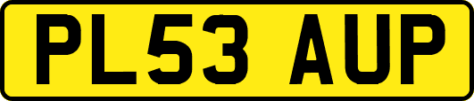 PL53AUP