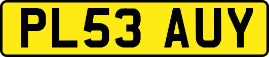 PL53AUY