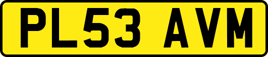 PL53AVM
