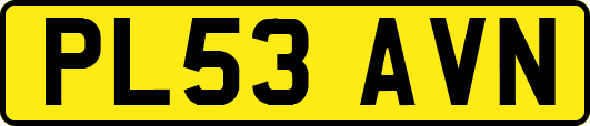 PL53AVN
