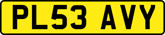 PL53AVY