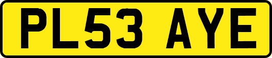 PL53AYE