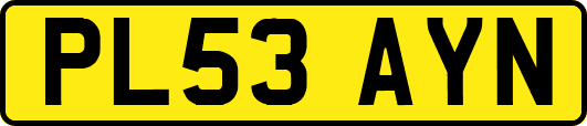 PL53AYN