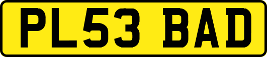 PL53BAD