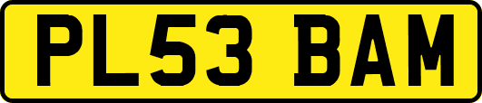 PL53BAM
