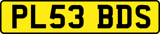 PL53BDS