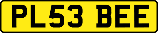 PL53BEE