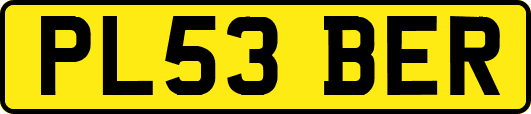 PL53BER