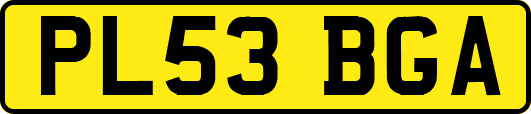 PL53BGA